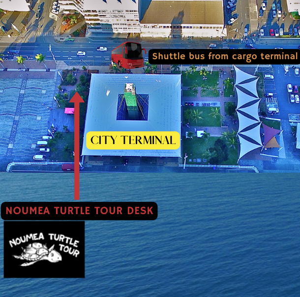 Aerial map showing the Noumea Turtle Tour desk at City Terminal